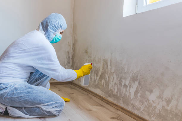 Crawl Space Mold Remediation treatment of floor joists in Grifton